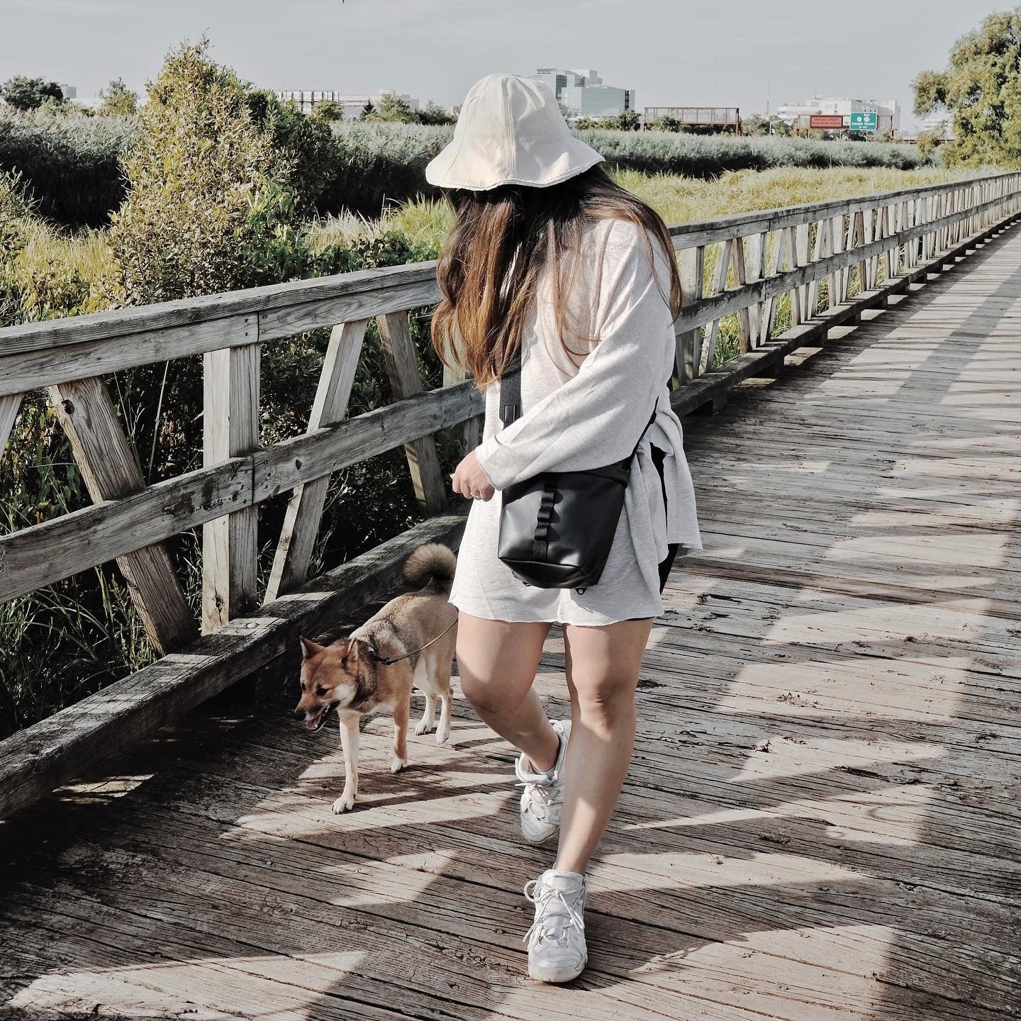 Woman walks Shiba Inu dog across wooden bridge on sunny day. 
