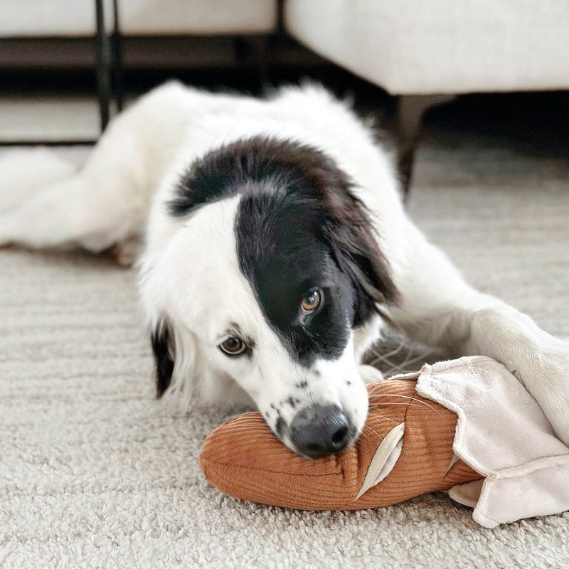 BAGUETTE - Enrichment and Interactive Dog Toy