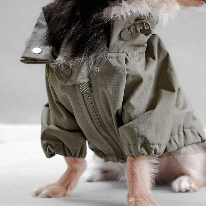 Brooklyn Raincoat Fern Green color Dog Clothes Dog apparel 
