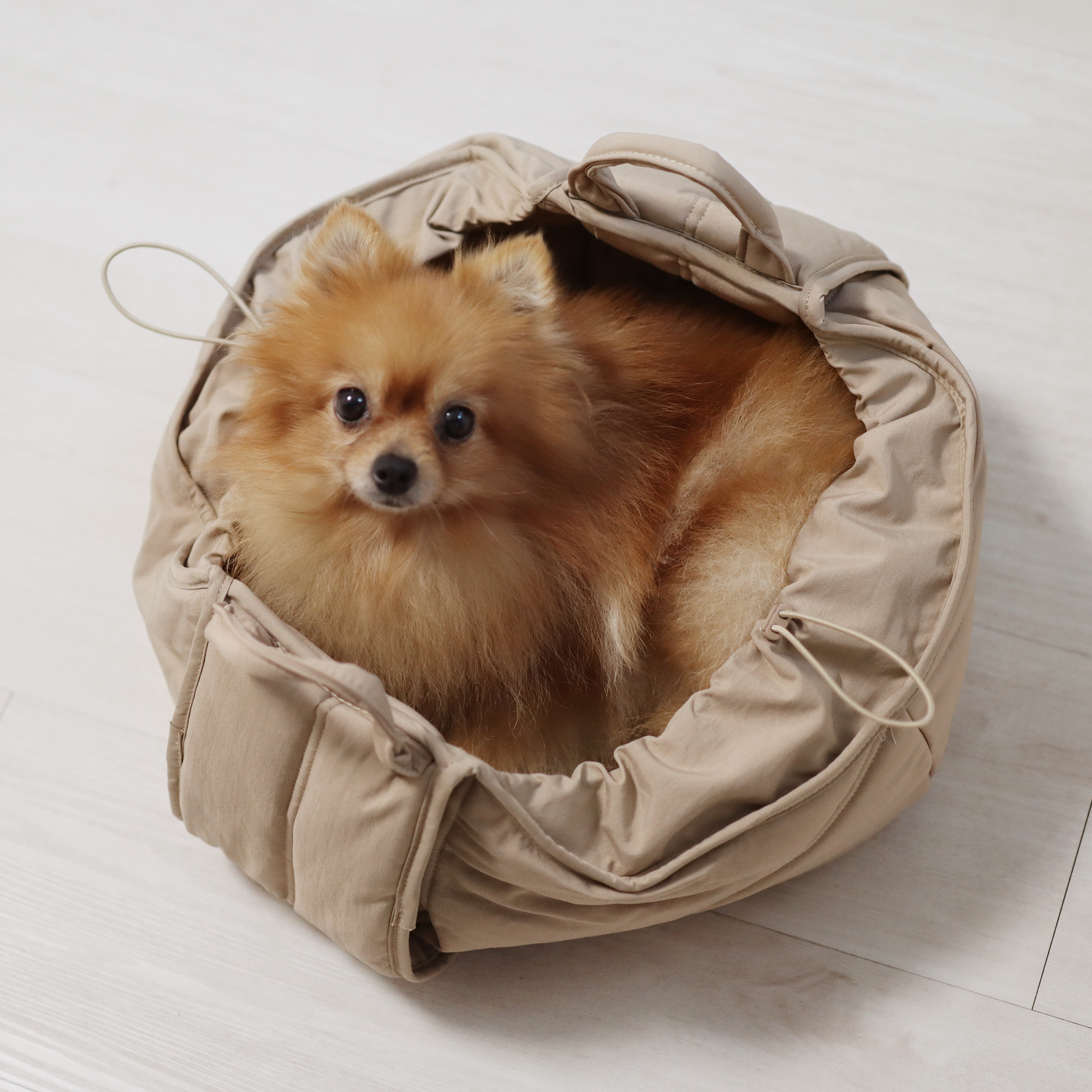 Olla Dog carrier Sling dog carrier 
