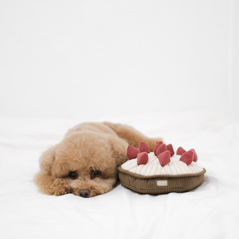 Berry pie Interactive Enrichment Dog Toy Squeaker Dog Toy