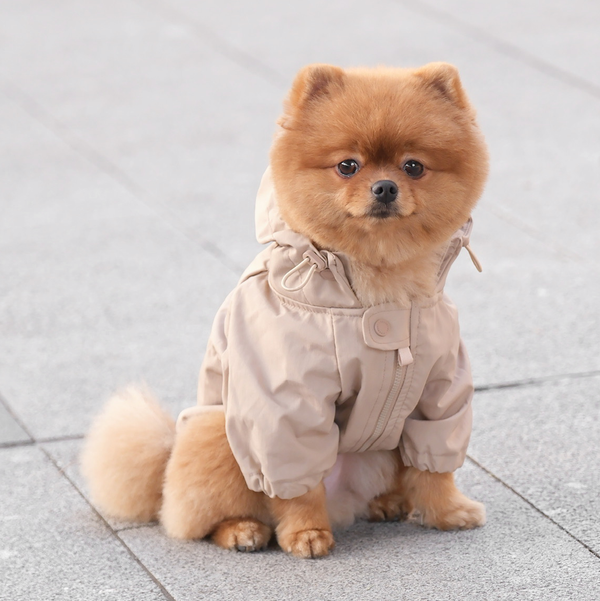 Brooklyn Raincoat Camel Beige color Dog Clothes Dog apparel 