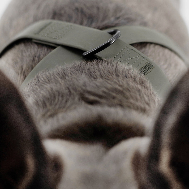 Otto waterproof dog harness adjustable dog harness in green