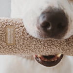 O NOU - Lambwolf Collective