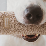 O NOU - Lambwolf Collective