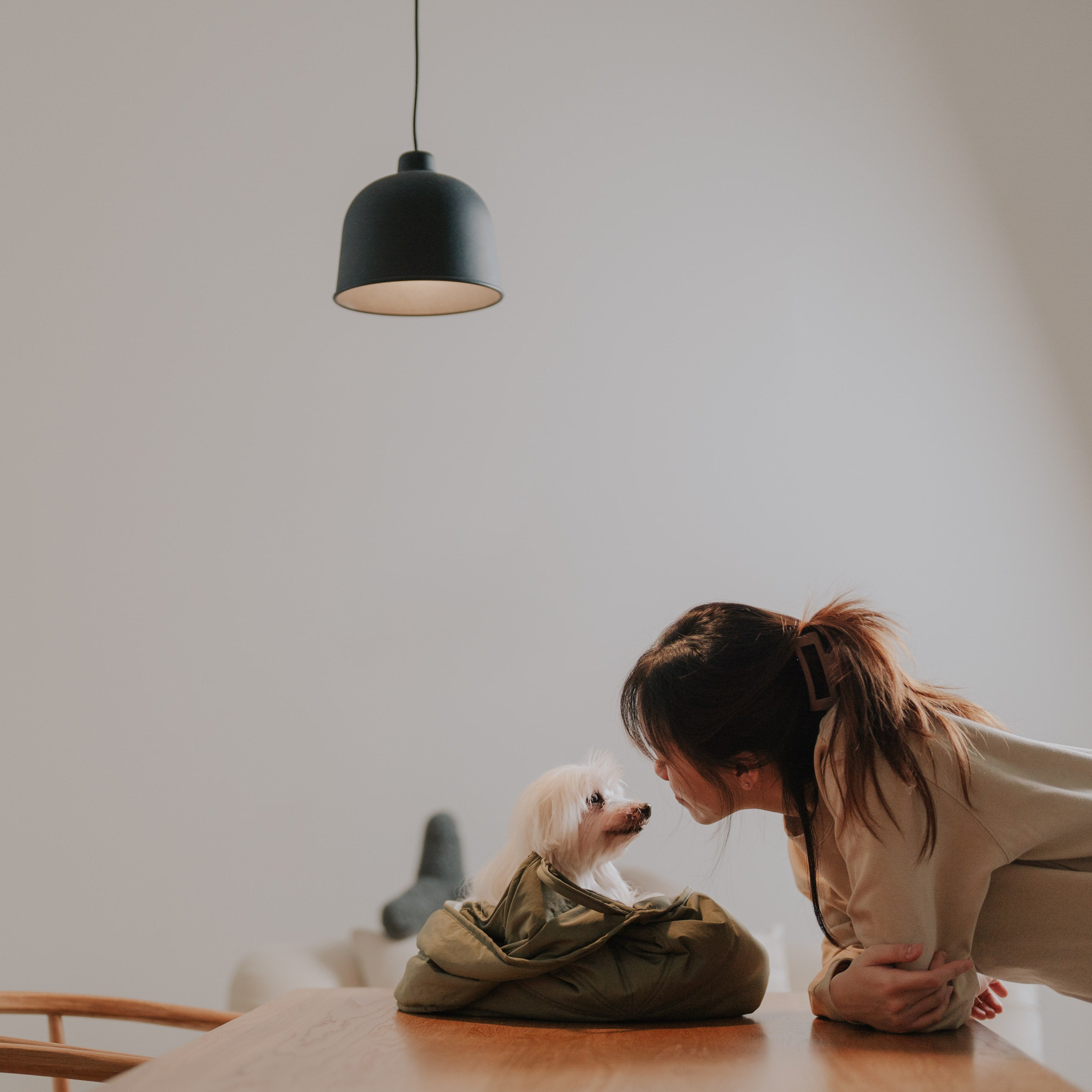 OLLA - Lambwolf Collective