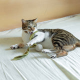 Radish Cat toy interactive cat toy snuffle cat toy bell cat toy