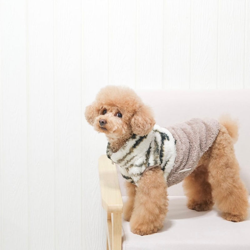 caption_Toy Poodle 7lbs/ 3kg in M