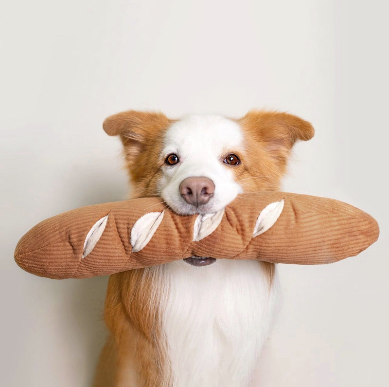 BAGUETTE - Enrichment and Interactive Dog Toy