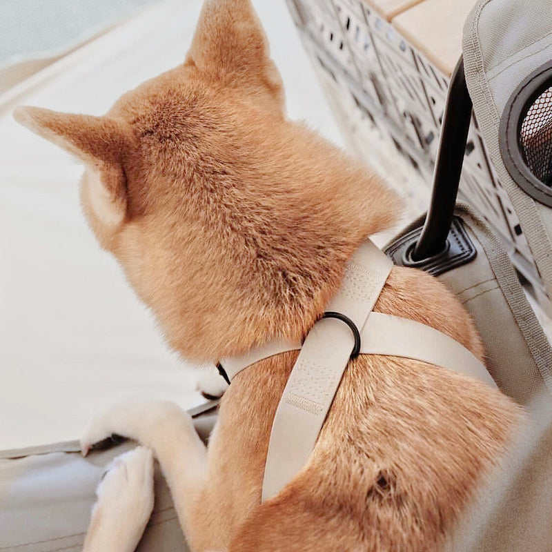 Otto waterproof dog harness adjustable dog harness in beige