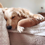 BAGUETTE - Lambwolf Collective