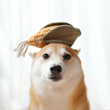 CORN - Lambwolf Collective