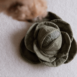 Cabbage POP - Lambwolf Collective