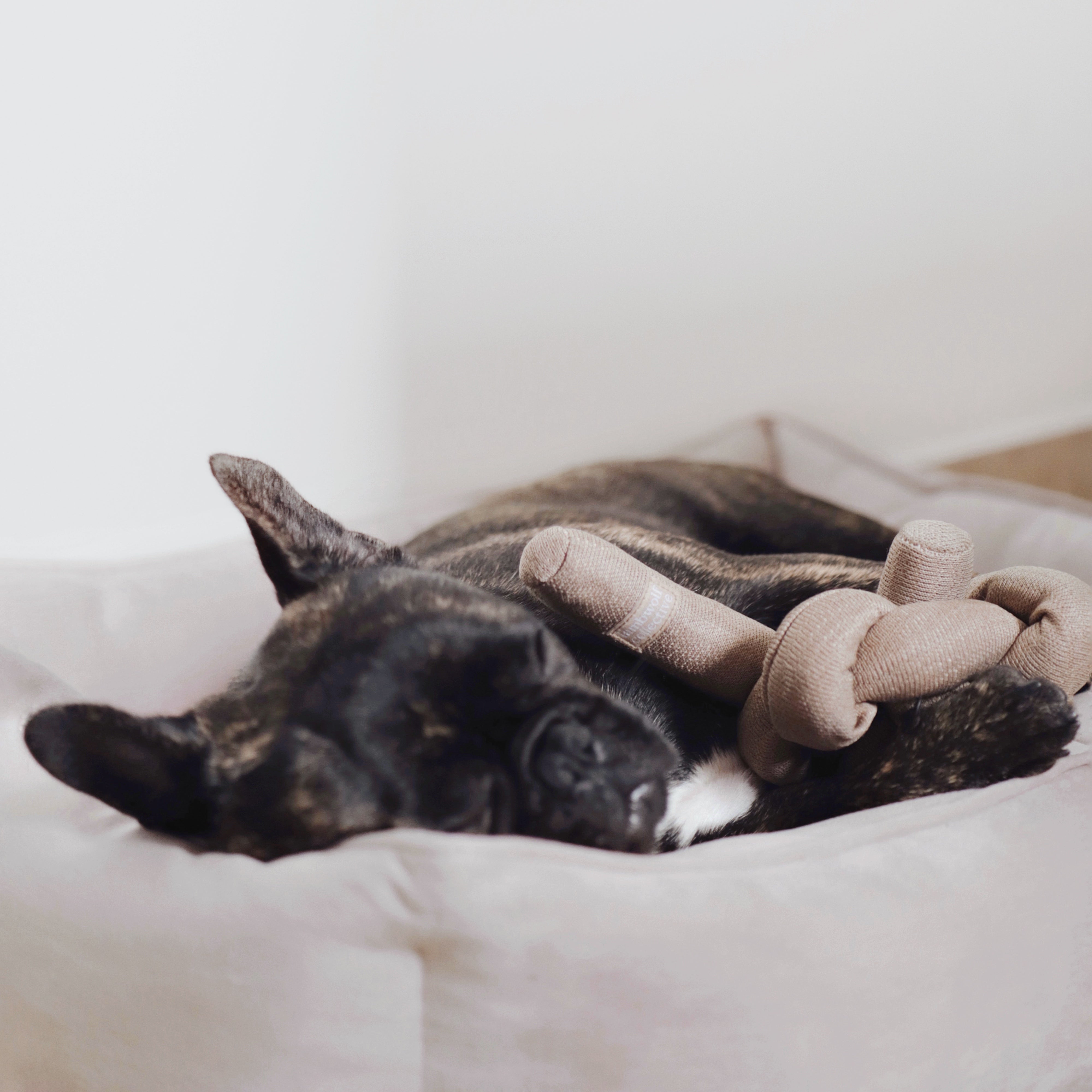 NOUNOU - Lambwolf Collective