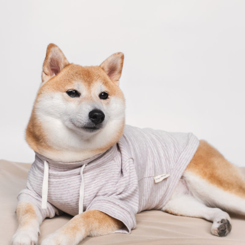 BRETON - Dog Clothes | Dog Apparel | Dog T shirt – Lambwolf Collective