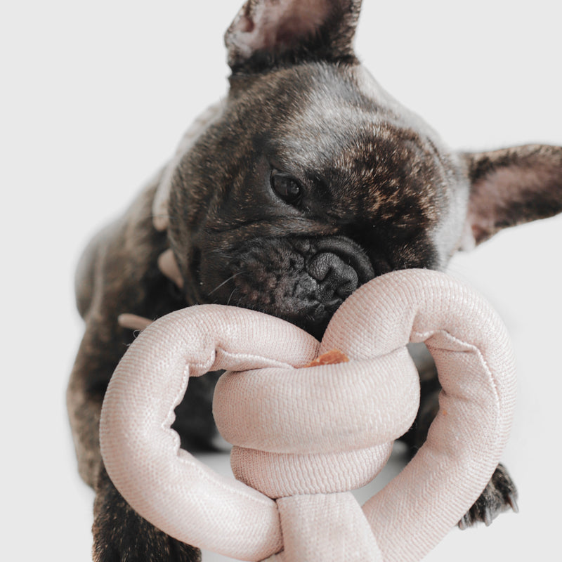 NOU™ - Enrichment and Interactive Dog Toy