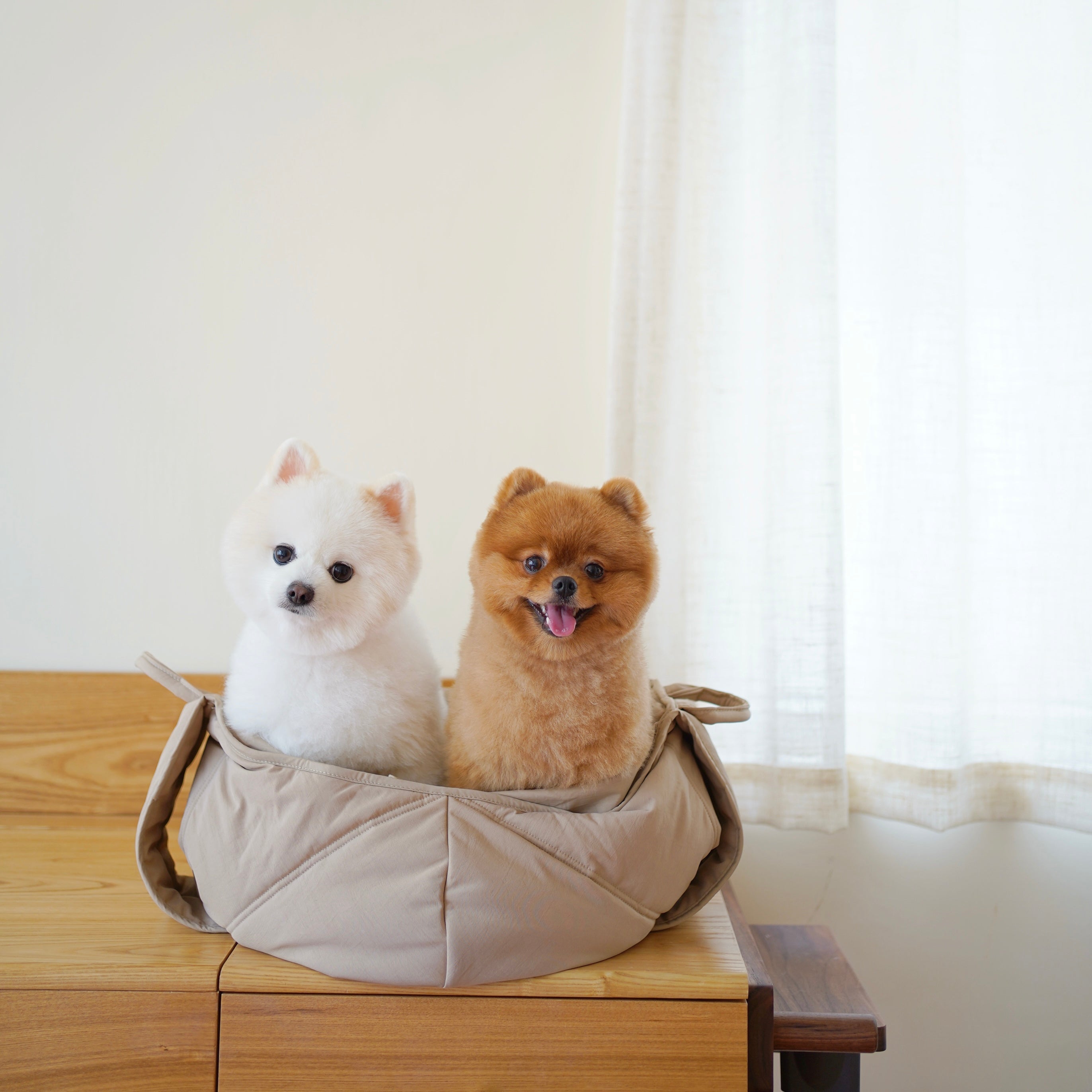 Olla Dog carrier Sling dog carrier 