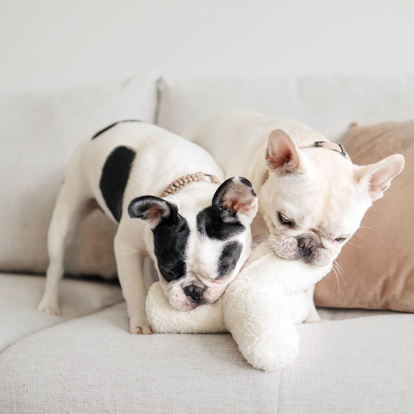 O BREUER - Lambwolf Collective