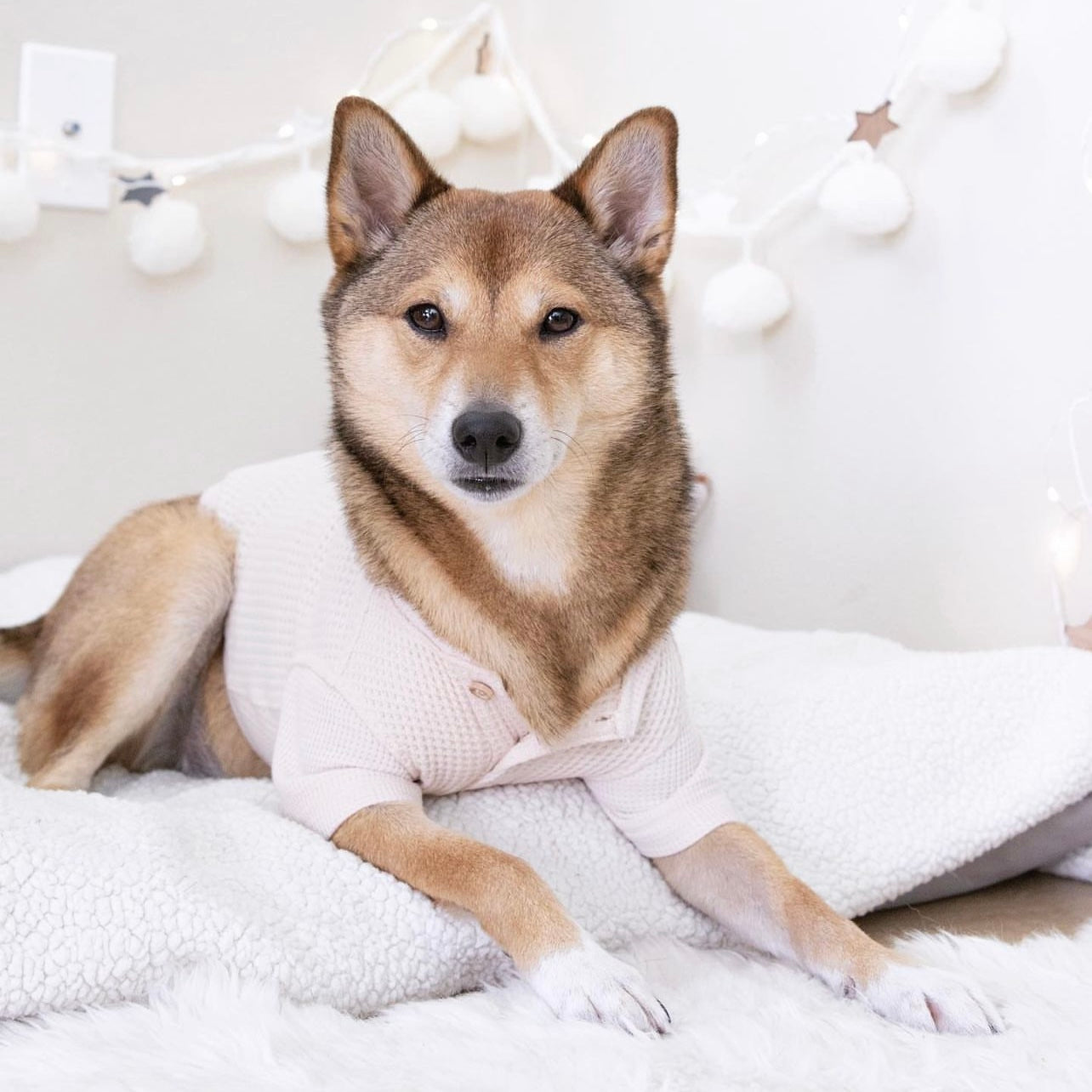Waffle dog clothes dog tee dog apparel in cream