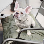 ORII - Lambwolf Collective