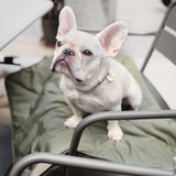 ORII - Lambwolf Collective