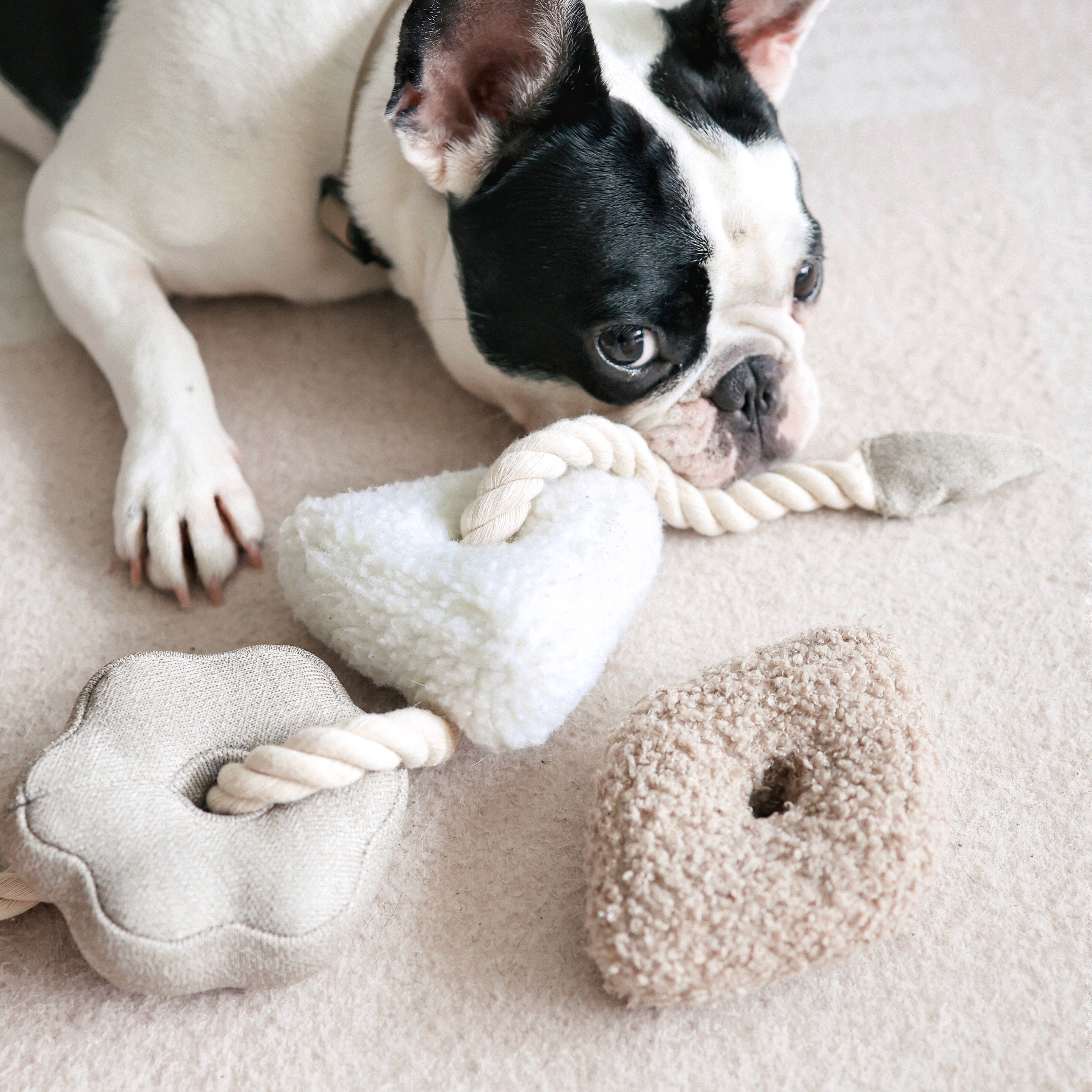Interactive puppy toy discount