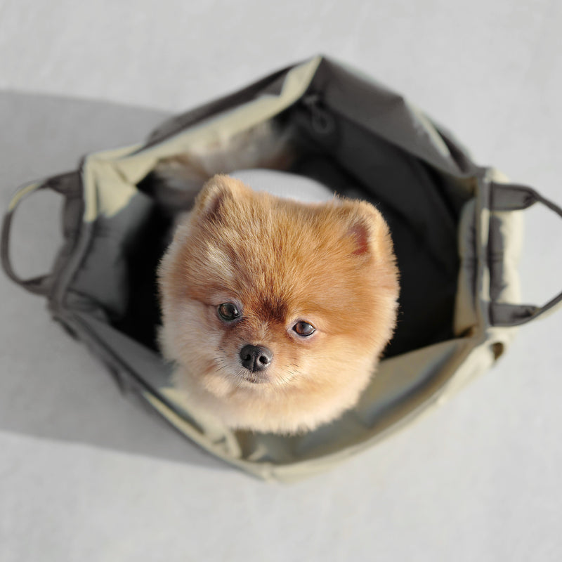 OLLA - Dog Carrier  Pet Carrier – Lambwolf Collective