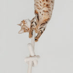 NOUNOU - Lambwolf Collective