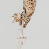 NOUNOU - Lambwolf Collective