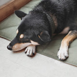 ORII - Lambwolf Collective