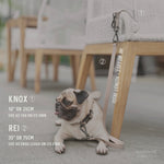 REI - Lambwolf Collective