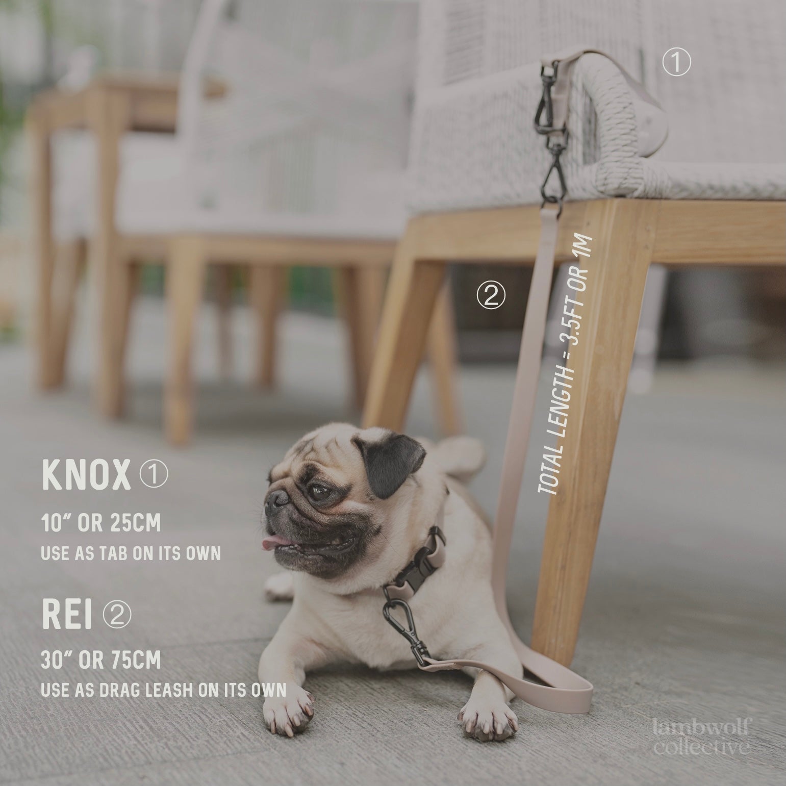 Pug dog models a light pink leash with a 10” handle that can be used as a control tab. 
