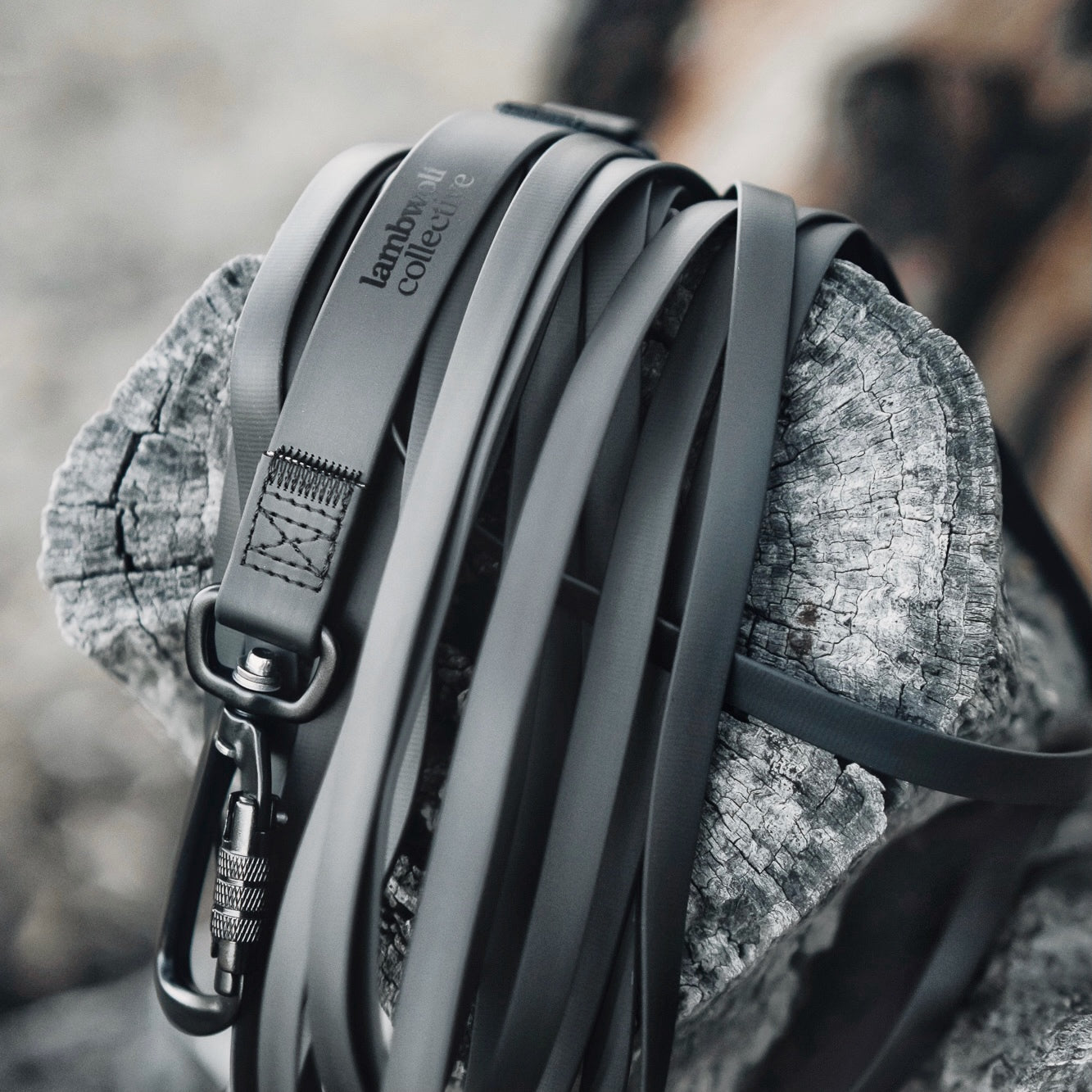 Lambwolf Collective black dog leash coiled on weathered wood. 
