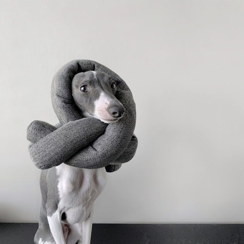 Lambwolf Collective Modern Designer Pet Dog Toys at DLK