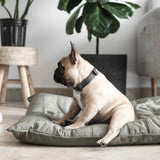 Maatin Dog bed waterproof low rise dog bed convertible dog bed