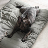 Maatin Dog bed waterproof low rise dog bed convertible dog bed