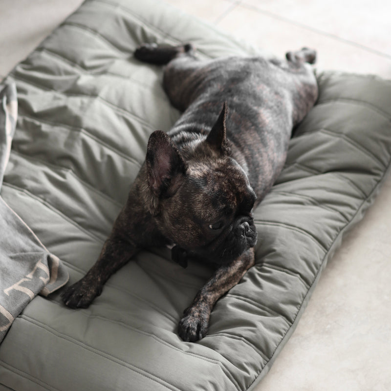 Maatin Dog bed waterproof low rise dog bed convertible dog bed