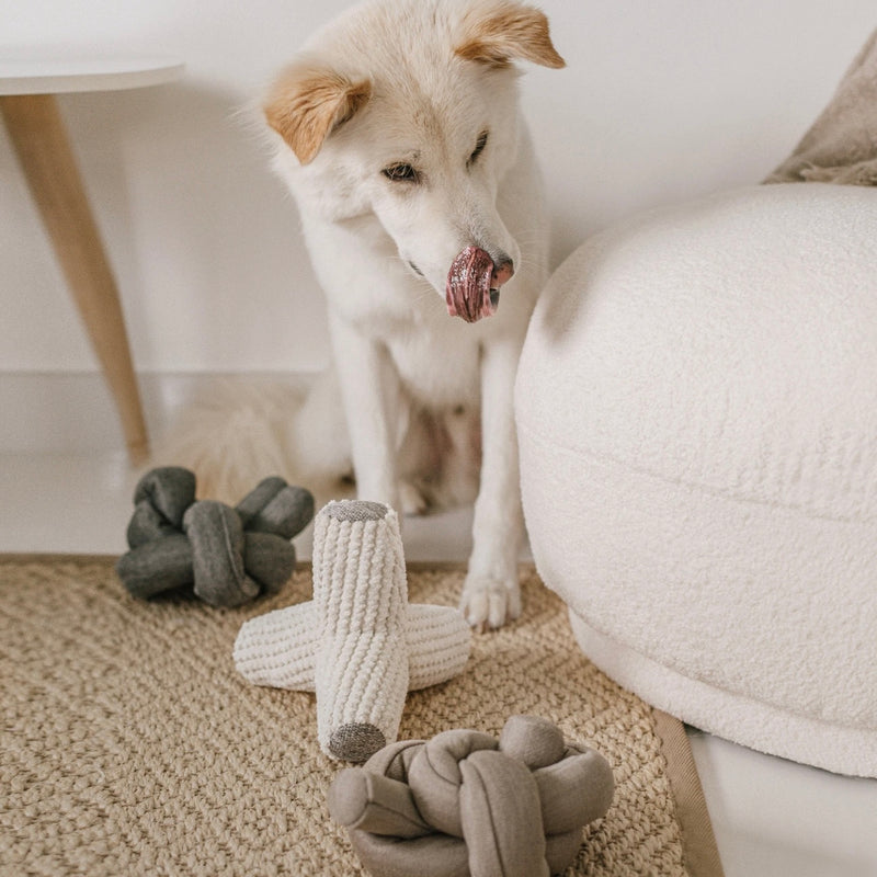 Snuffle Ball: Engaging Interactive Toy for Endless Pet Fun!