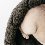 TAART - Lambwolf Collective