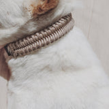 Adjustable handwoven braid dog Collar  in Beige Camel 