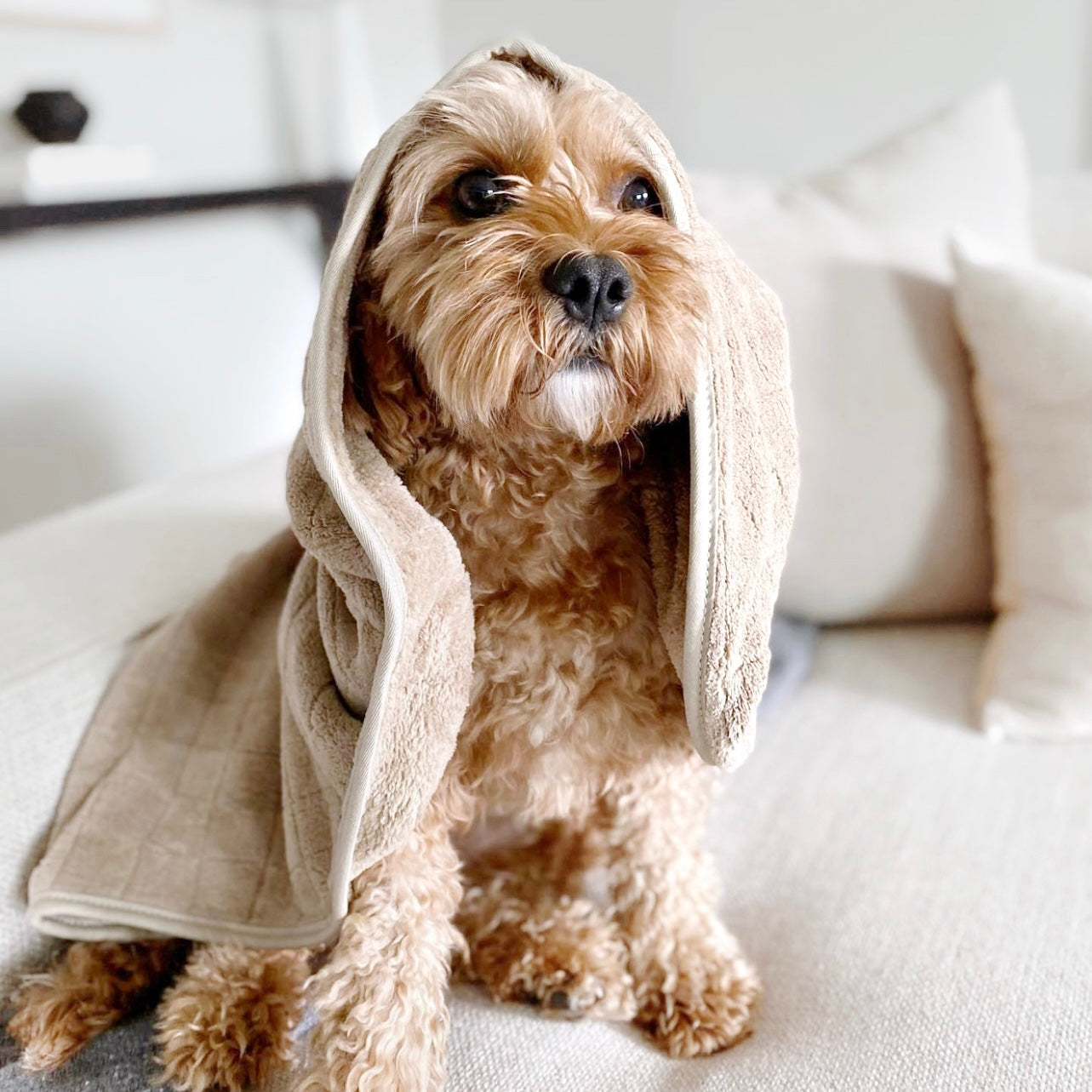 Baby Fleece Towel - Lambwolf Collective