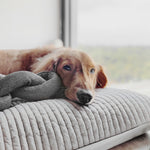 NOU® - Lambwolf Collective