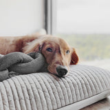 NOU® - Lambwolf Collective