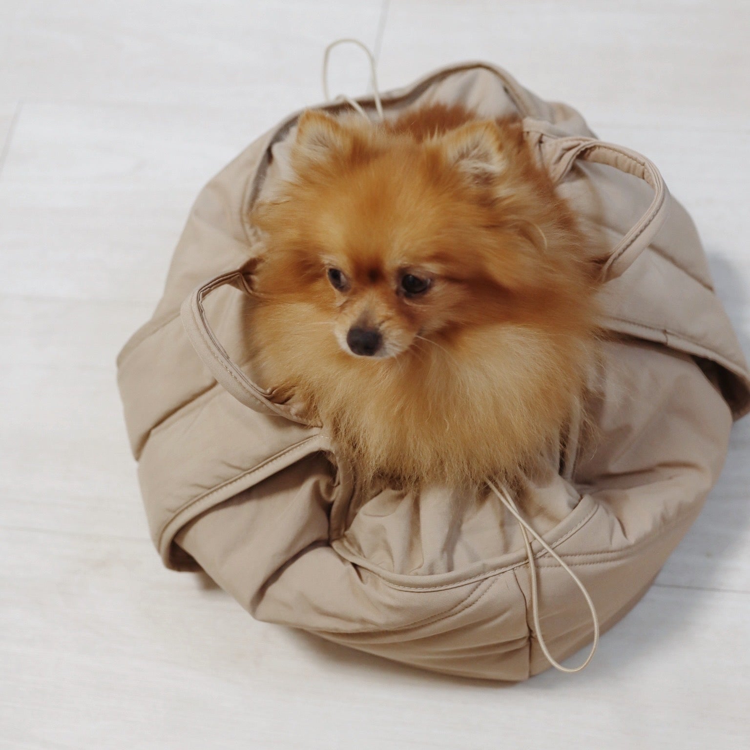 Olla Dog carrier Sling dog carrier 