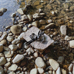 MELLEM - Lambwolf Collective