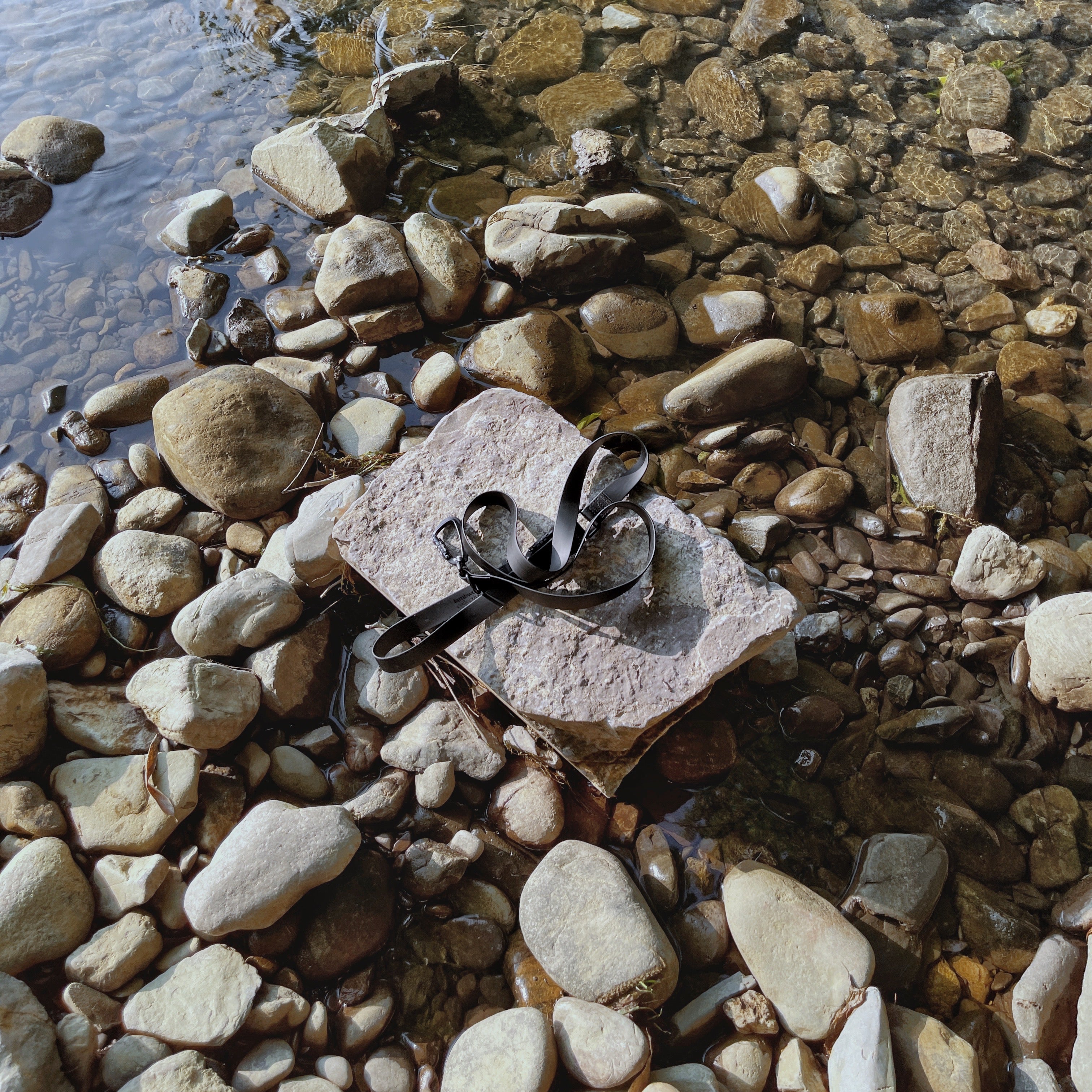 MELLEM - Lambwolf Collective