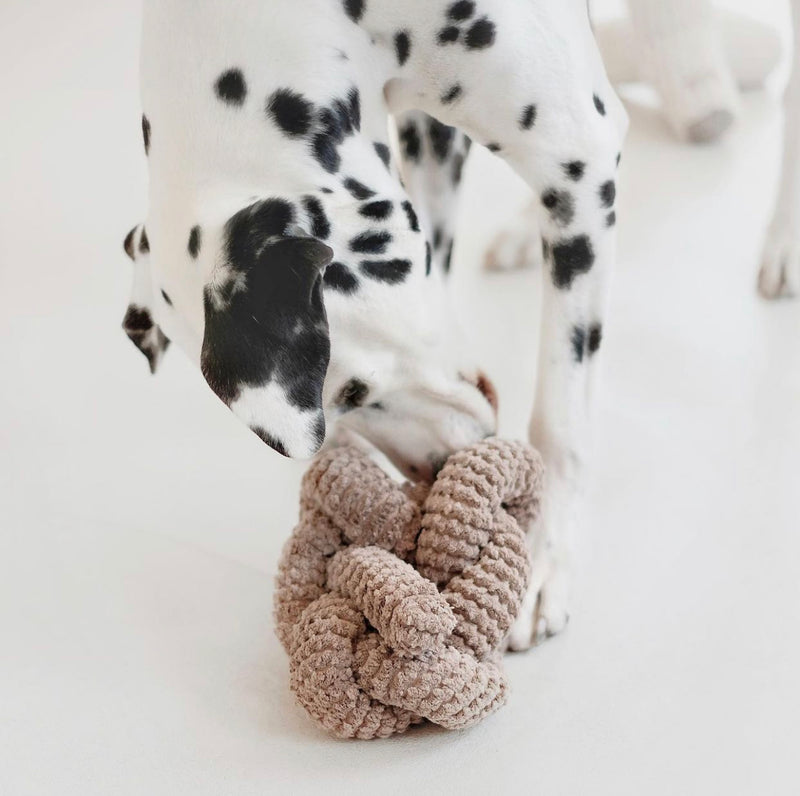 NOU™ - Enrichment and Interactive Dog Toy