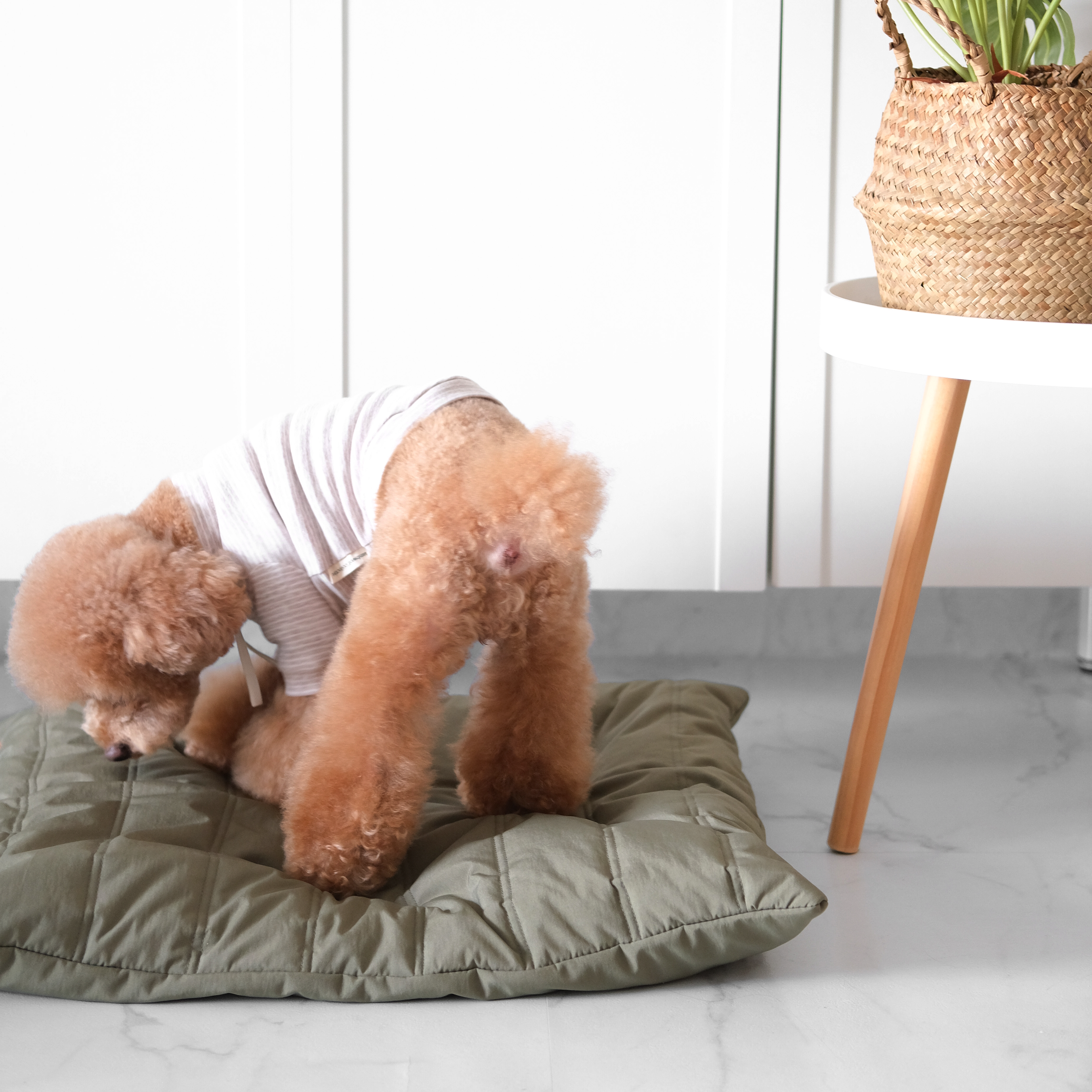 Maatin Dog bed waterproof low rise dog bed convertible dog bed