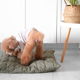 Maatin Dog bed waterproof low rise dog bed convertible dog bed