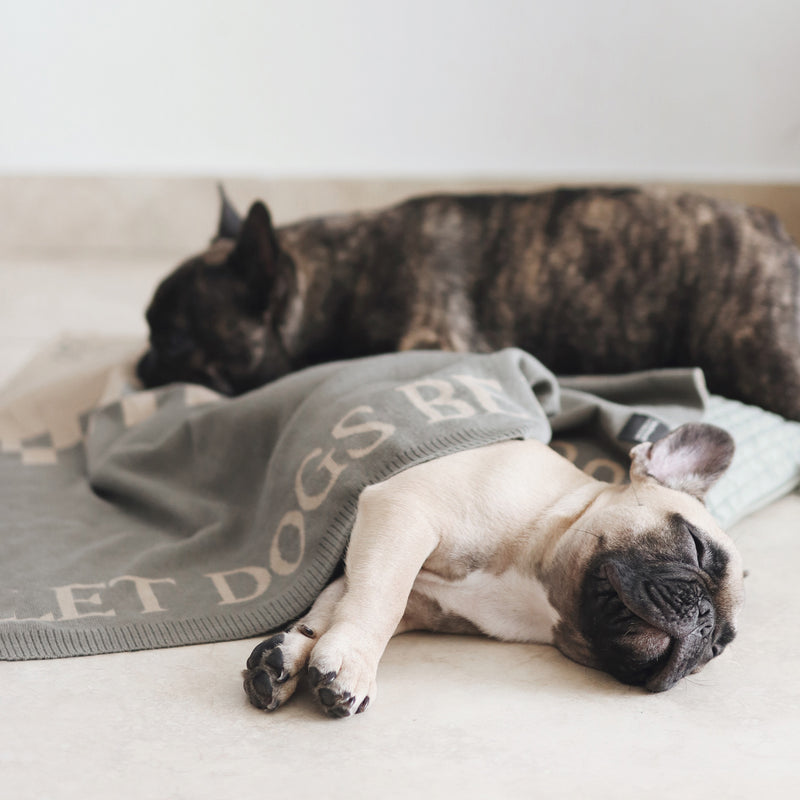 Cotton Dog blanket Dog bed accessories